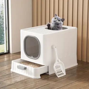 Kedi Kumu Kabı Rehberi: Nereye Konmalı, Nasıl Temizlenir, Açık mı Kapalı mı? - Petpel