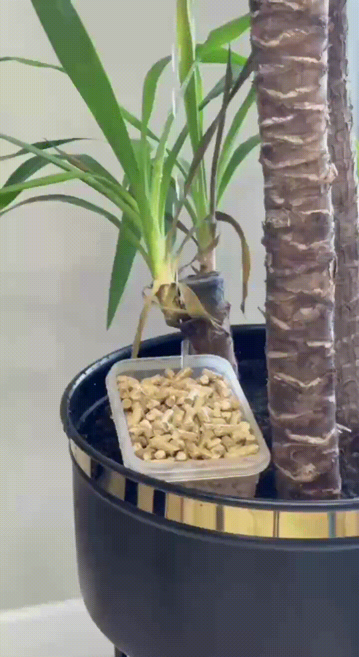 Temiz görünüm, ferah koku