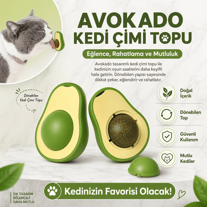 Avokado Kedi Çimi Topu – Dönen Toplu Duvara Yapışan Doğal Kedi Oyuncağı - Petpel