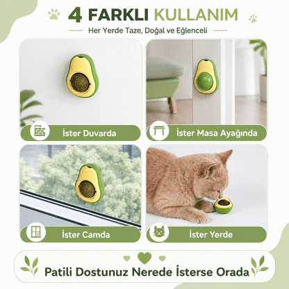 Avokado Kedi Çimi Topu – Dönen Toplu Duvara Yapışan Doğal Kedi Oyuncağı - Petpel